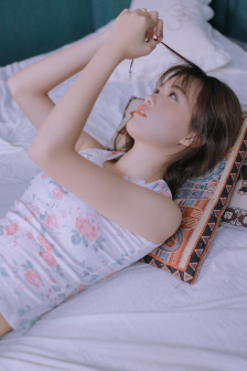 花蝴蝶与野玫瑰